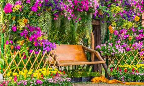 Giardino profumato: fiori e arbusti con il miglior profumo