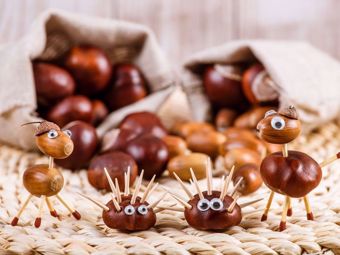 Decorazione, creazione e animali creati con le castagne 