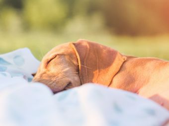 Dormite bene o con difficoltà? Che tipo di oscuramento vi serve?