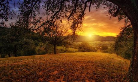 Stiamo creando l’orto: Cosa piantare e seminare d’autunno?
