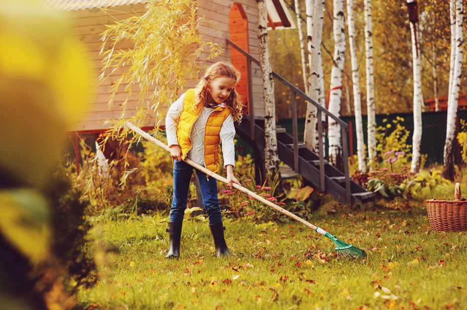 Novembre in giardino - come preparare l’orto per l’inverno