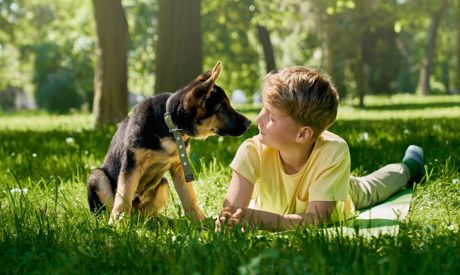 Giardino per gli animali: gatti, cani e porcellini d'India