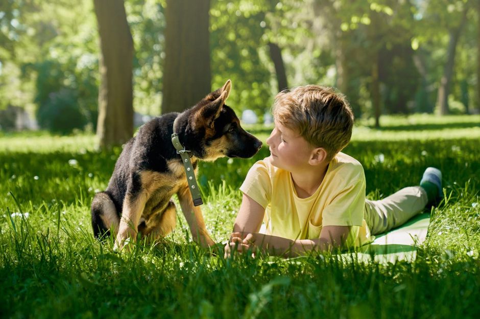 Giardino per gli animali: gatti, cani e porcellini d'India