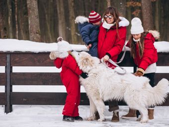 Come intrattenersi in inverno: Attività invernali all'aria aperta per tutta la famiglia