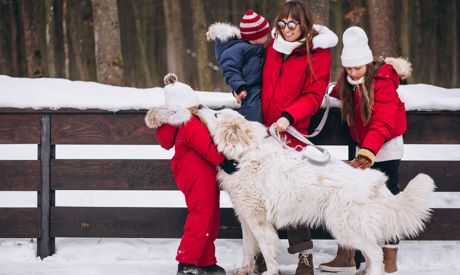 Come intrattenersi in inverno: Attività invernali all'aria aperta per tutta la famiglia