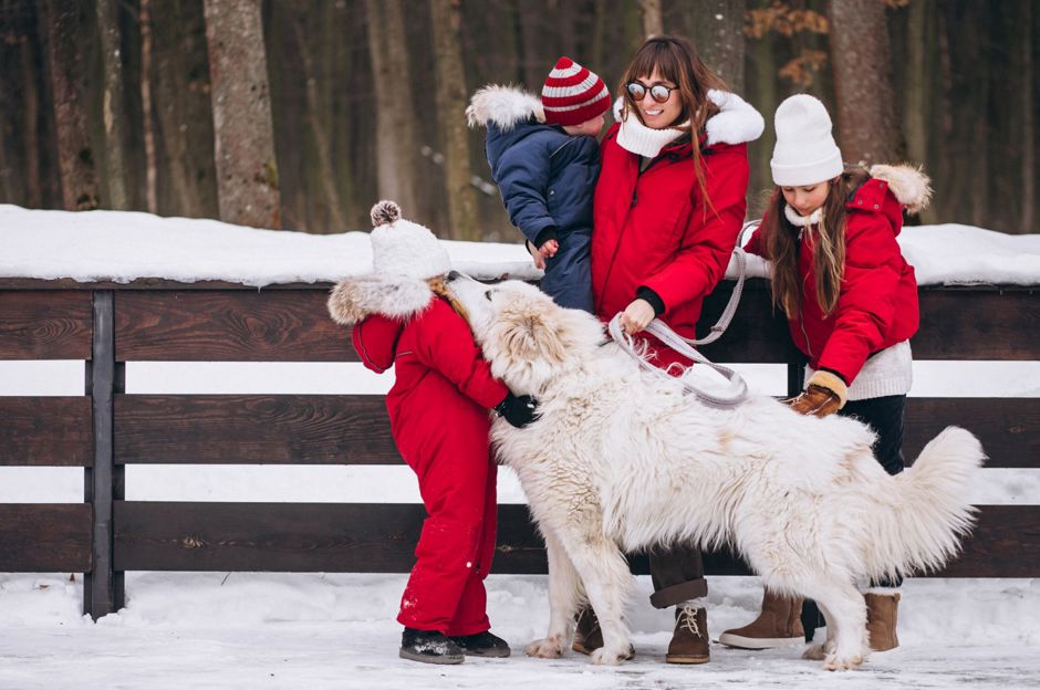 Come intrattenersi in inverno: Attività invernali all'aria aperta per tutta la famiglia