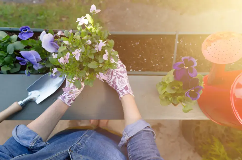 Fioriere autunnali: con cosa potete decorare il vostro balcone o davanzale a settembre?