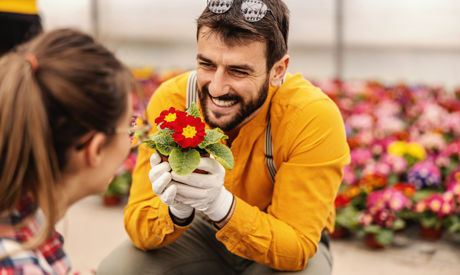 Febbraio è il mese chiave per pianificare il giardino 