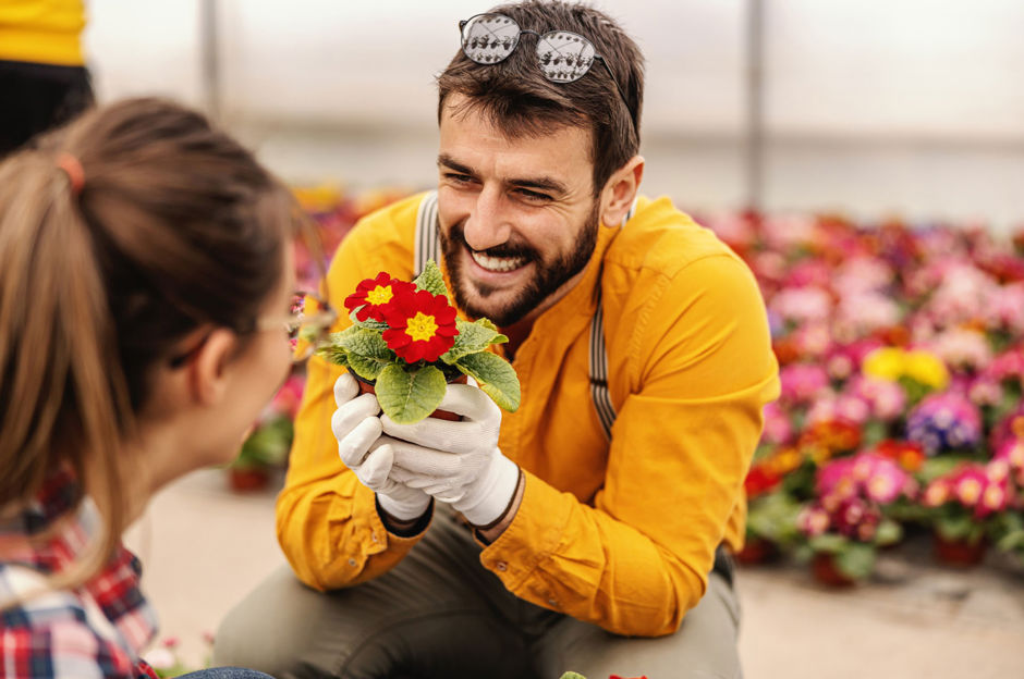 Febbraio è il mese chiave per pianificare il giardino 