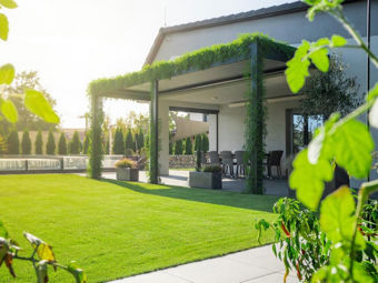 Pergola biofila: Come connettersi meglio con la natura?