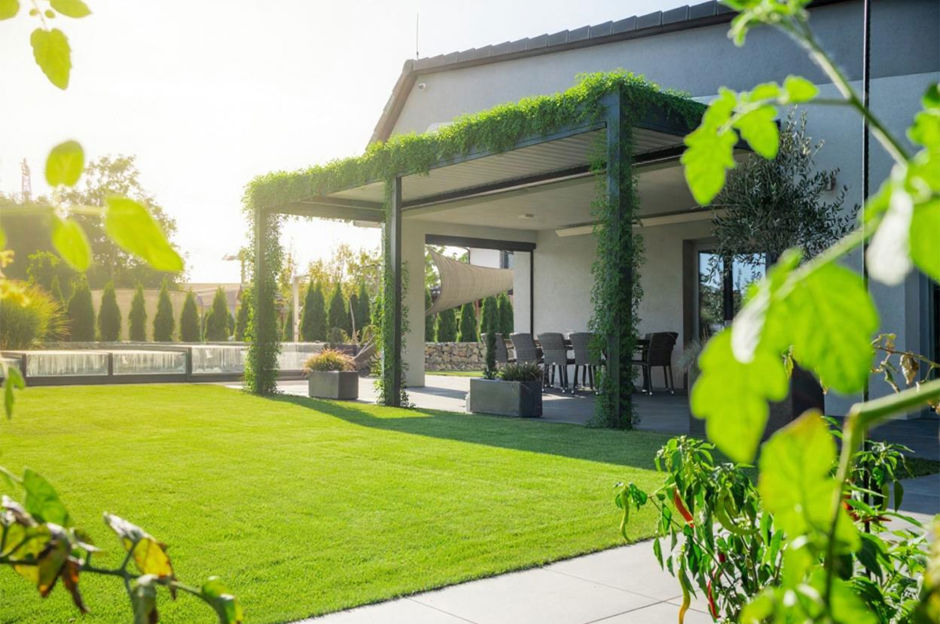 Pergola biofila: Come connettersi meglio con la natura?