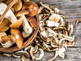 Come conservare i funghi? Congelare, essiccare e conservare i funghi!