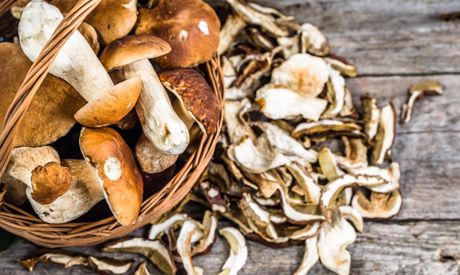 Come conservare i funghi? Congelare, essiccare e conservare i funghi!