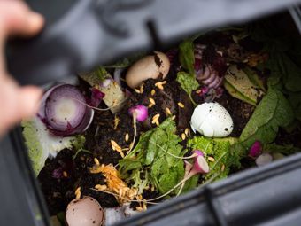 Le ultime tendenze per il giardino: quali pergole sono di tendenza e perché creare il compost?