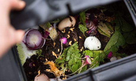 Le ultime tendenze per il giardino: quali pergole sono di tendenza e perché creare il compost?