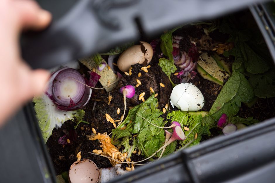 Le ultime tendenze per il giardino: quali pergole sono di tendenza e perché creare il compost?