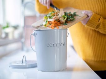 Come iniziare con il compostaggio: una vermicompostiera si può tenere anche in appartamento