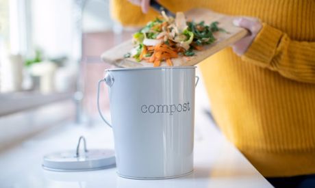 Come iniziare con il compostaggio: una vermicompostiera si può tenere anche in appartamento