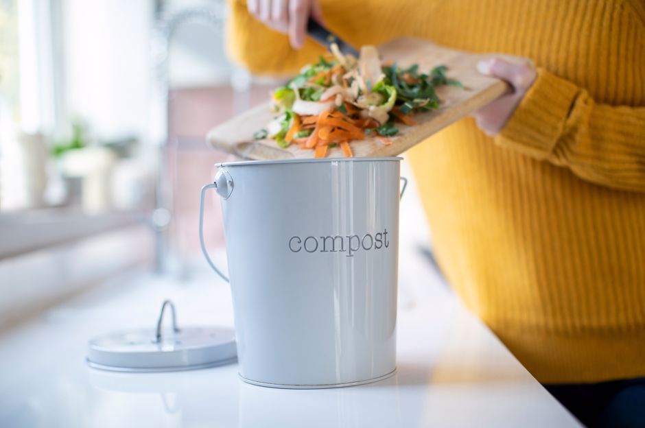Come iniziare con il compostaggio: una vermicompostiera si può tenere anche in appartamento